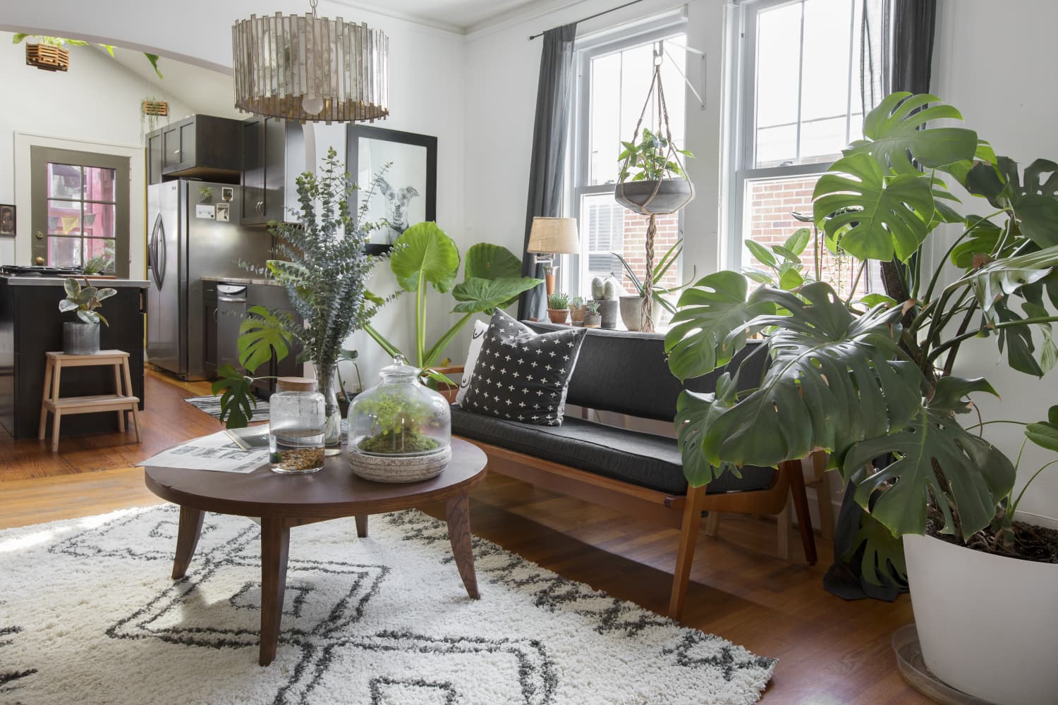 plant based living room